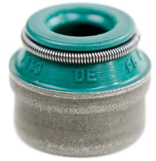 examine the valve stem seals