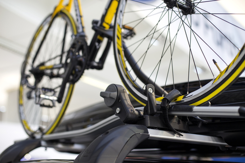bicycle carrier for horizontal transport