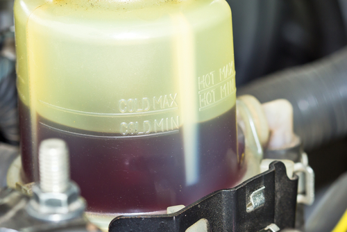 Fresh power steering oil