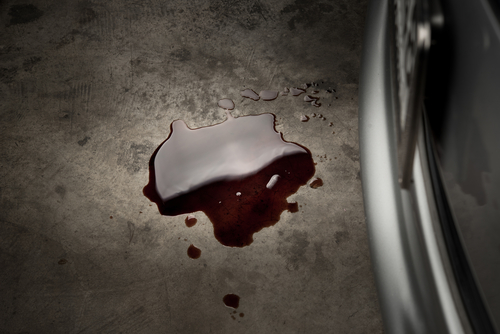 Lubricant puddles under the car