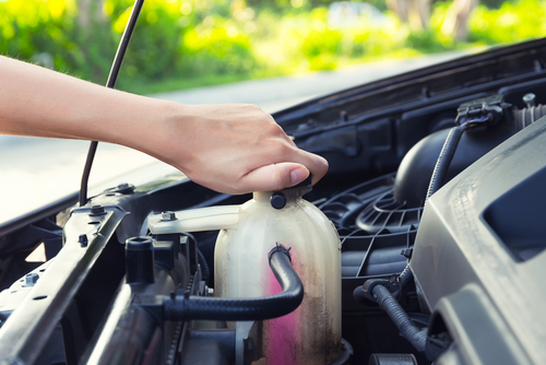 Coolant puddles under the car