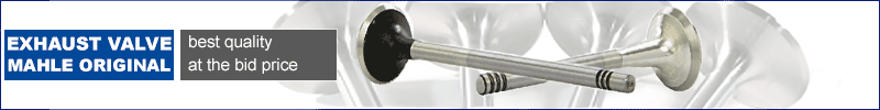 Mahle Original Exhaust Valve Discounter Online