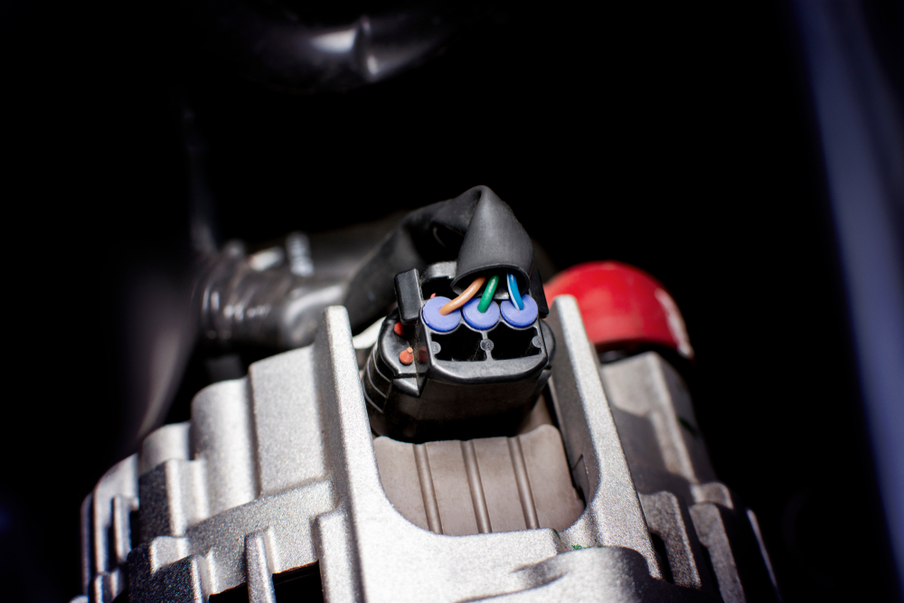 Cables and plugs of alternator