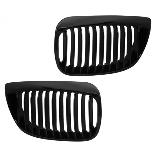 kidneys (radiator grille) for your car online