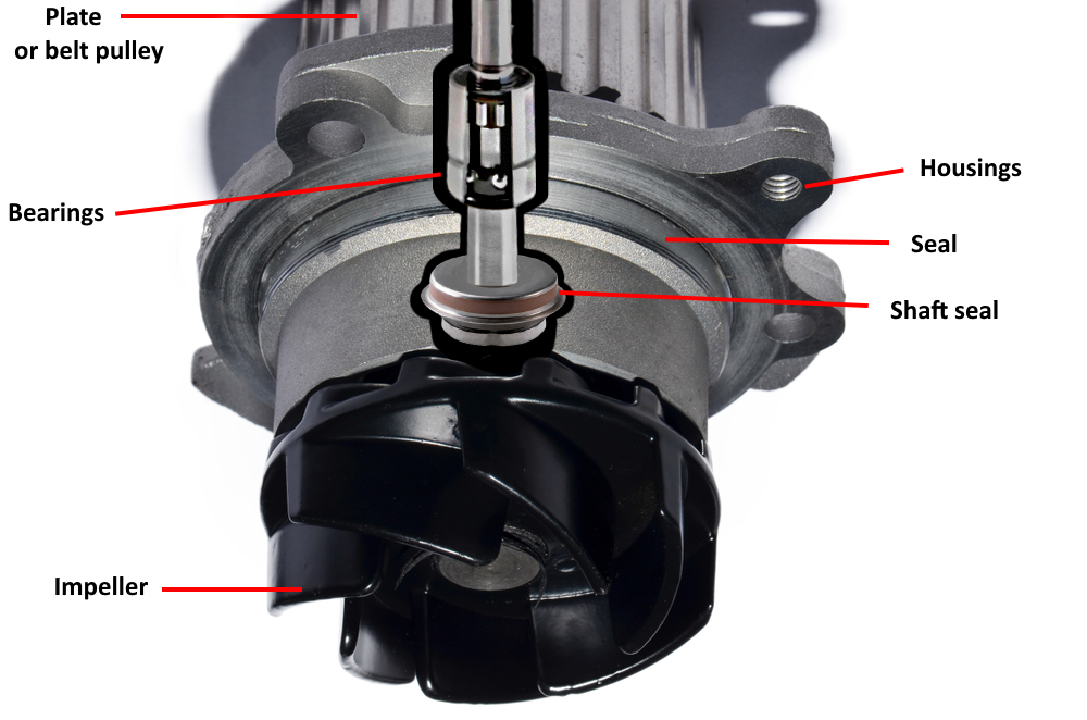 Why is a water pump so important