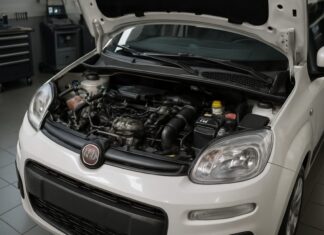 Problems with the Fiat Panda